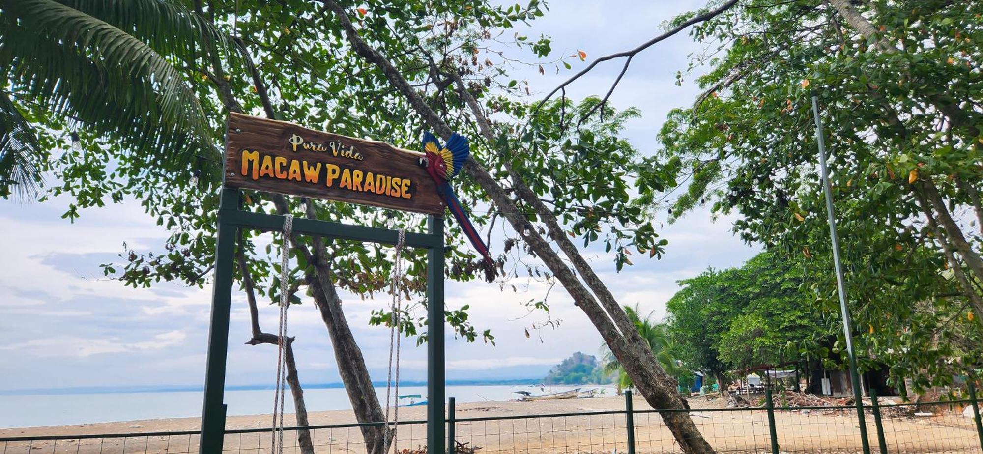 Macaw Paradise Jacó Kültér fotó