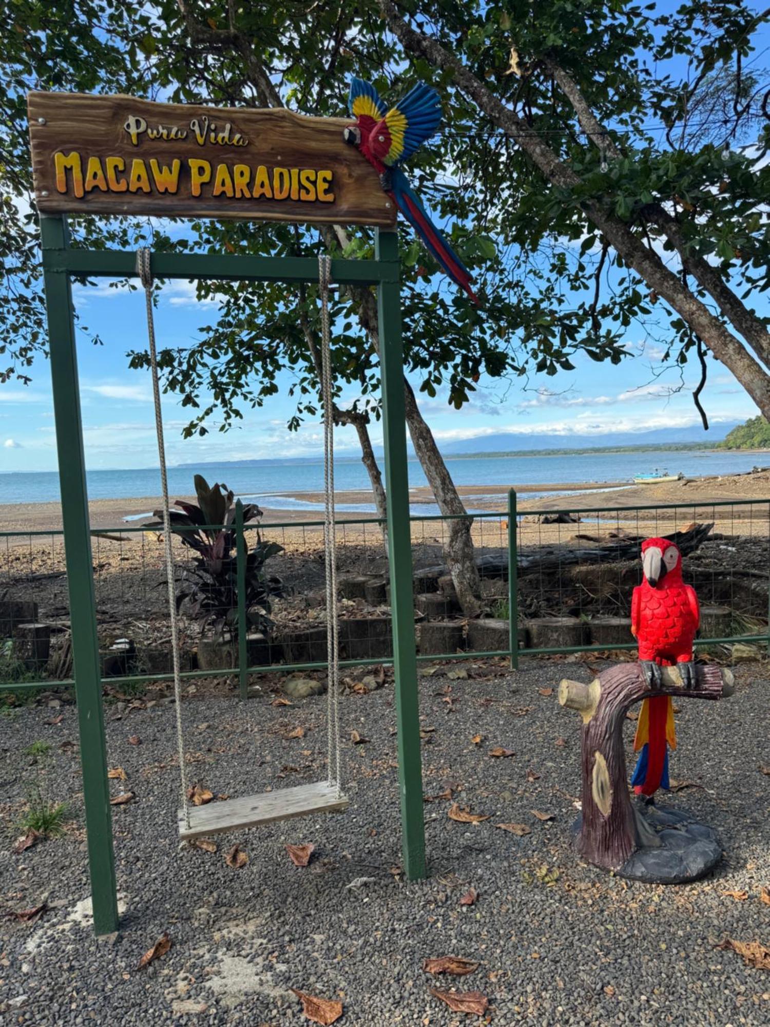 Macaw Paradise Jacó Kültér fotó